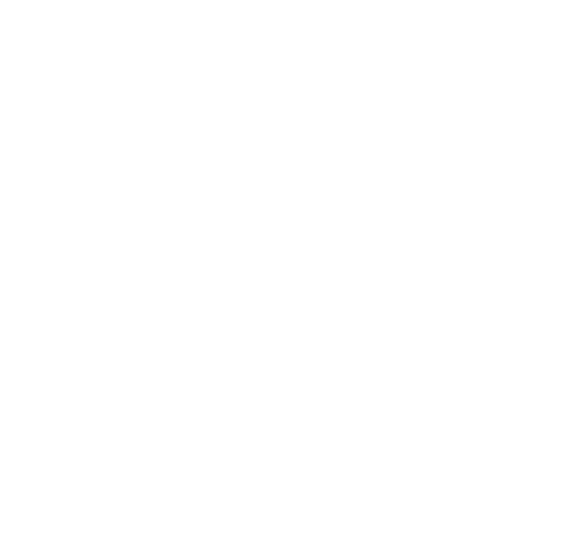 Padel Pro India Logo